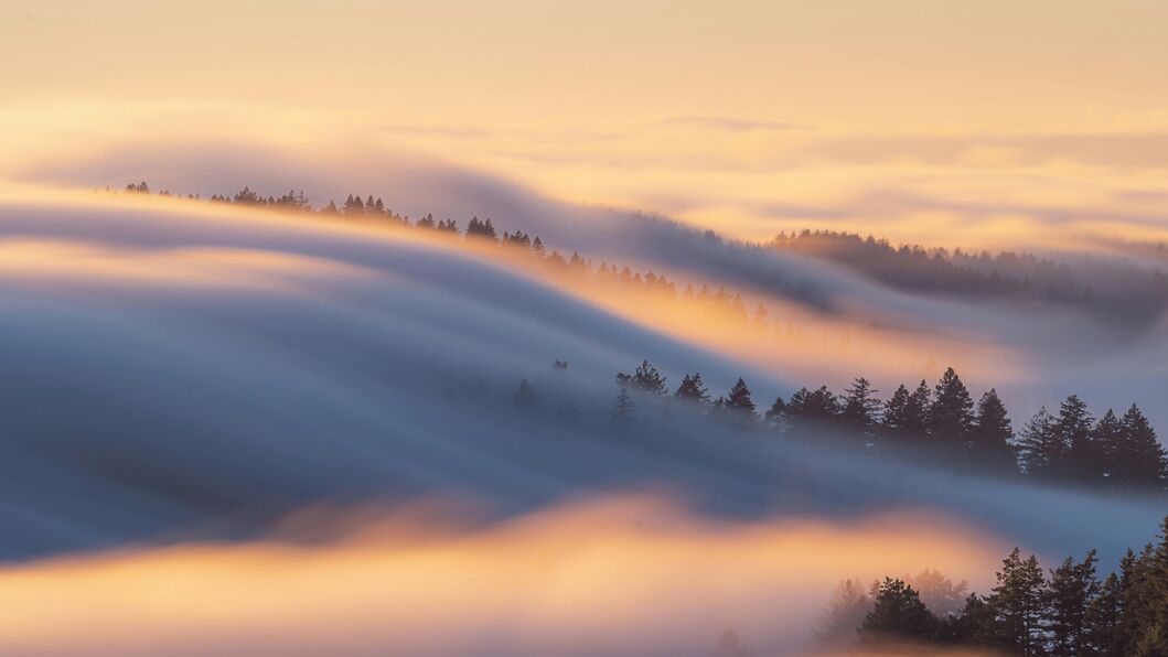 Paesaggio collinare avvolto da una leggera nebbia